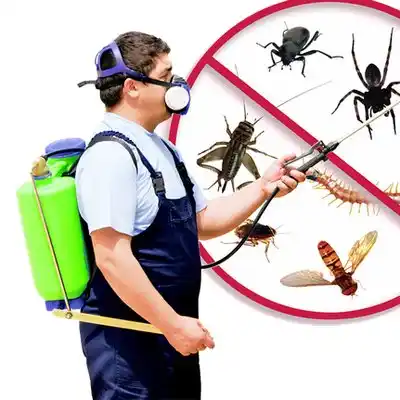 pest control Gautier